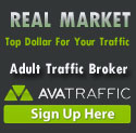 avatraffic.com