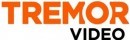 Tremor Video Inc. Releases Video Predictions 2013