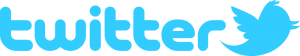 twitter-logo-300x56